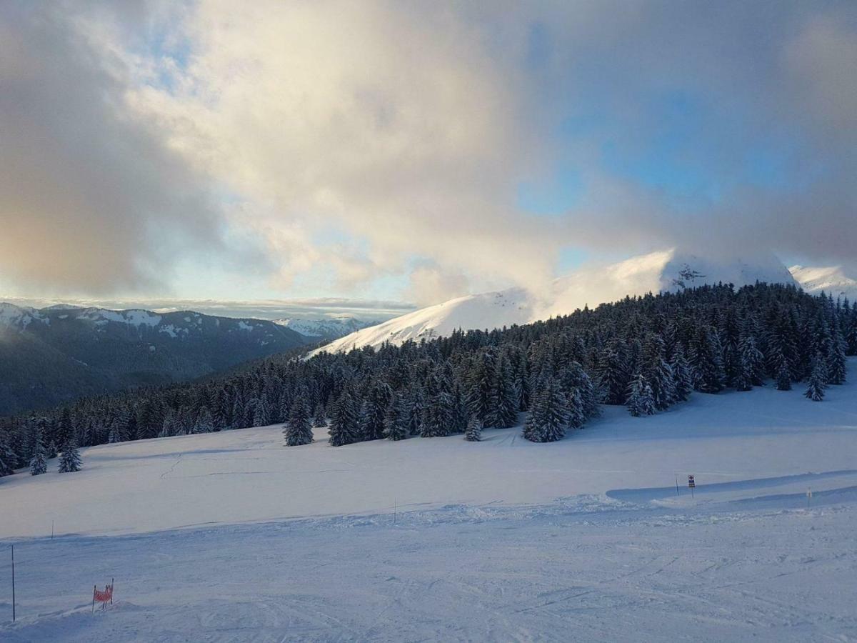 Appartement Praz-du-Soleil F3 à Les Gets Extérieur photo